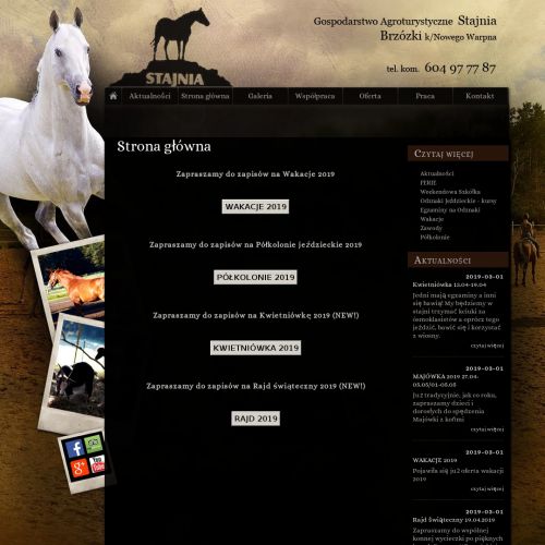 Obozy jeździeckie zachodniopomorskie w Szczecinie