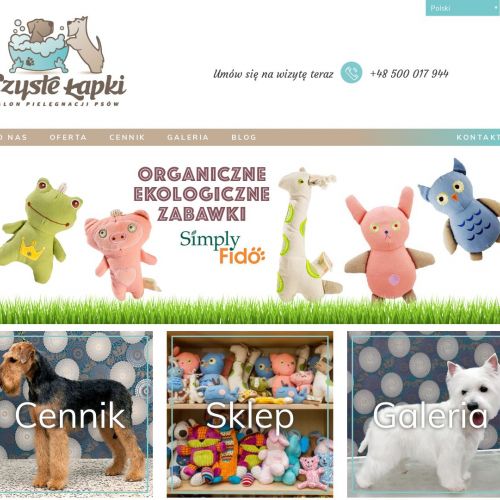 Strzyżenie i pielęgnacja psów Warszawa