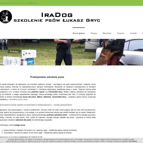 Bytom - tresura psów