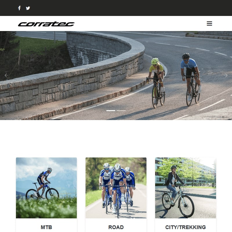 Rower elektryczny 1000w