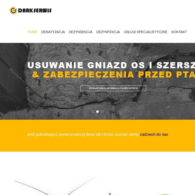 Usuwanie pluskiew - Gliwice