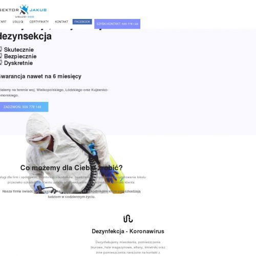 Deratyzacja gryzoni w Poznaniu