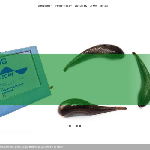 Leczenie pijawkami w Siedlcach