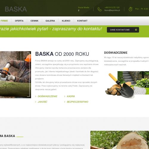 Pielęgnacja zieleni w Sosnowcu