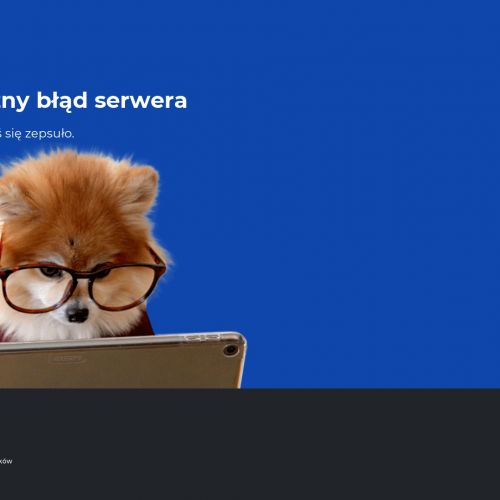 Uprawnienia na wózki widłowe - Strzegom