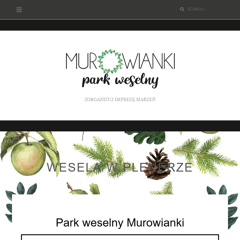 Ślub w plenerze w Kaliszu